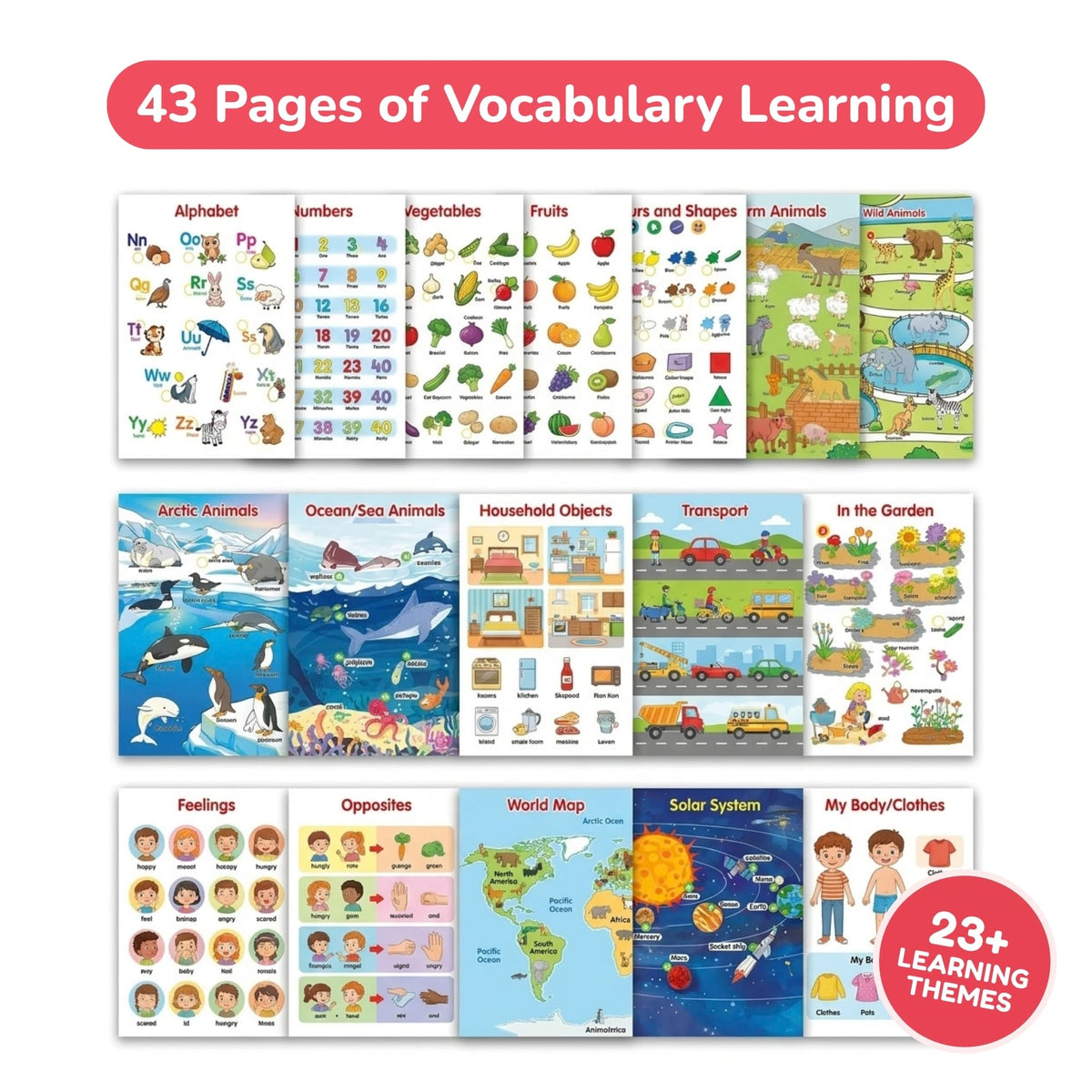 43 pages of vocabulary learning
